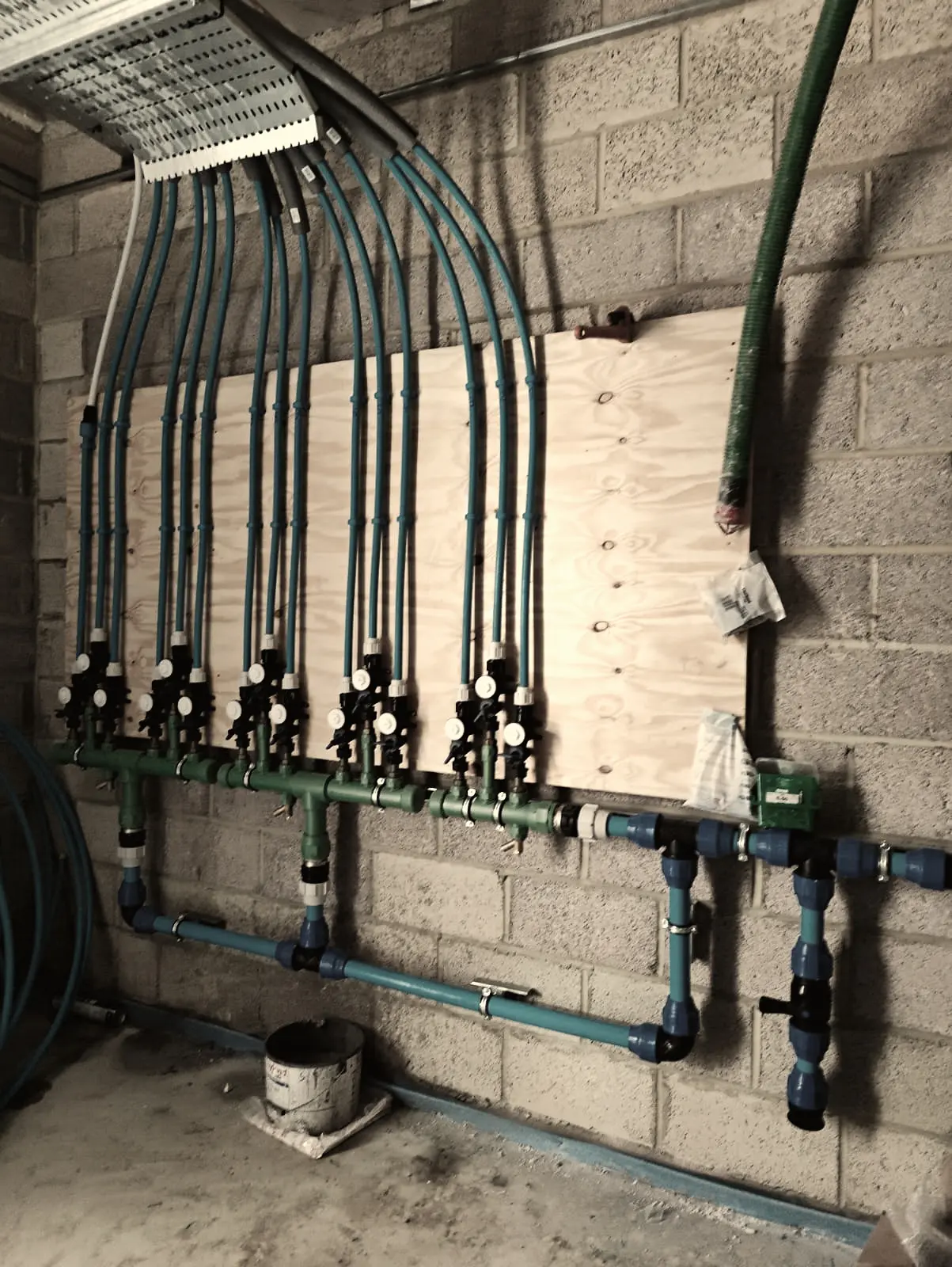 Multi-branch water distribution system with individual valves and blue service pipes during first-fix plumbing.